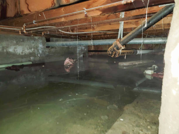 Best Residential water damage restoration  in Cayuga Heights, NY