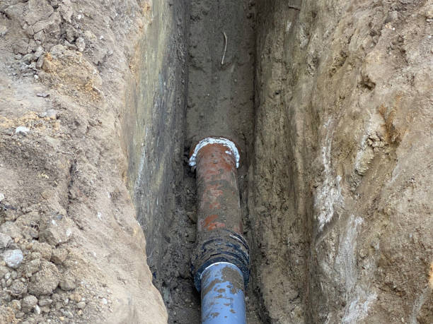 Best Professional water damage repair  in Cayuga Heights, NY