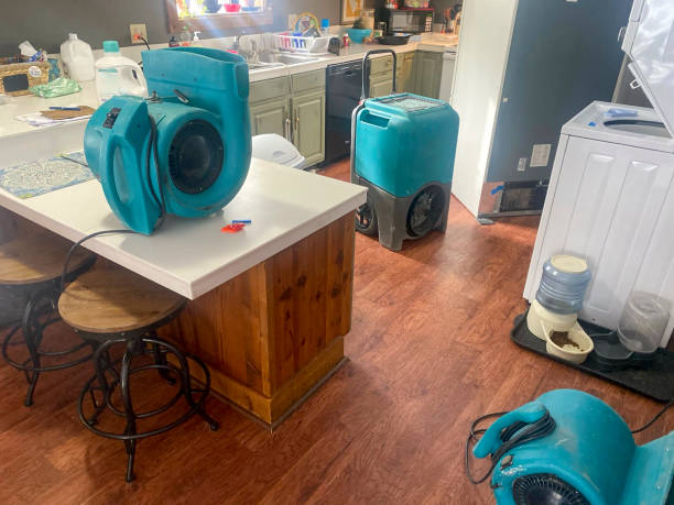 Best 24/7 water damage repair  in Cayuga Heights, NY