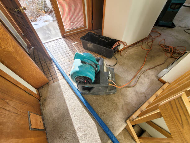 Best Commercial water damage restoration  in Cayuga Heights, NY