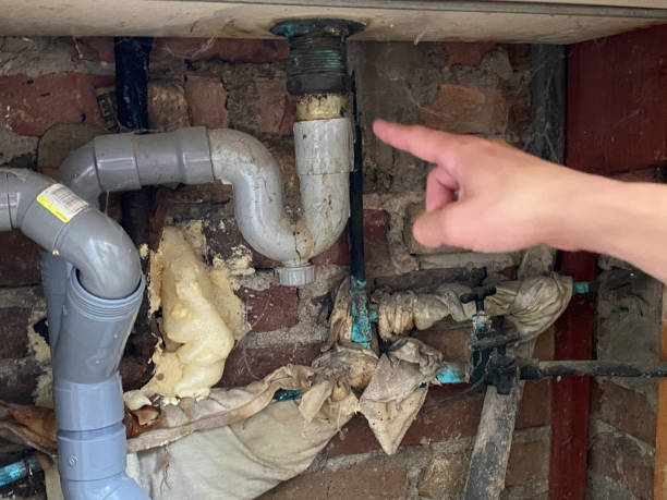 Best Mold removal after water damage  in Cayuga Heights, NY