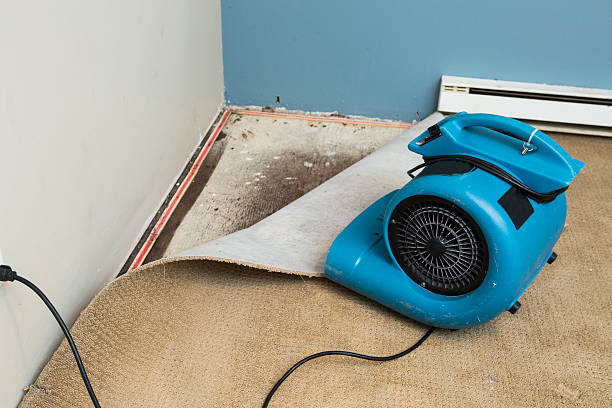 Best Local water damage restoration  in Cayuga Heights, NY